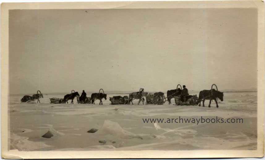 khabn040.jpg - Russians Hauling Wood across Amur